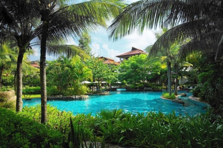 The Furama Resort's lagoon pool surrounded by palms and tropical planting